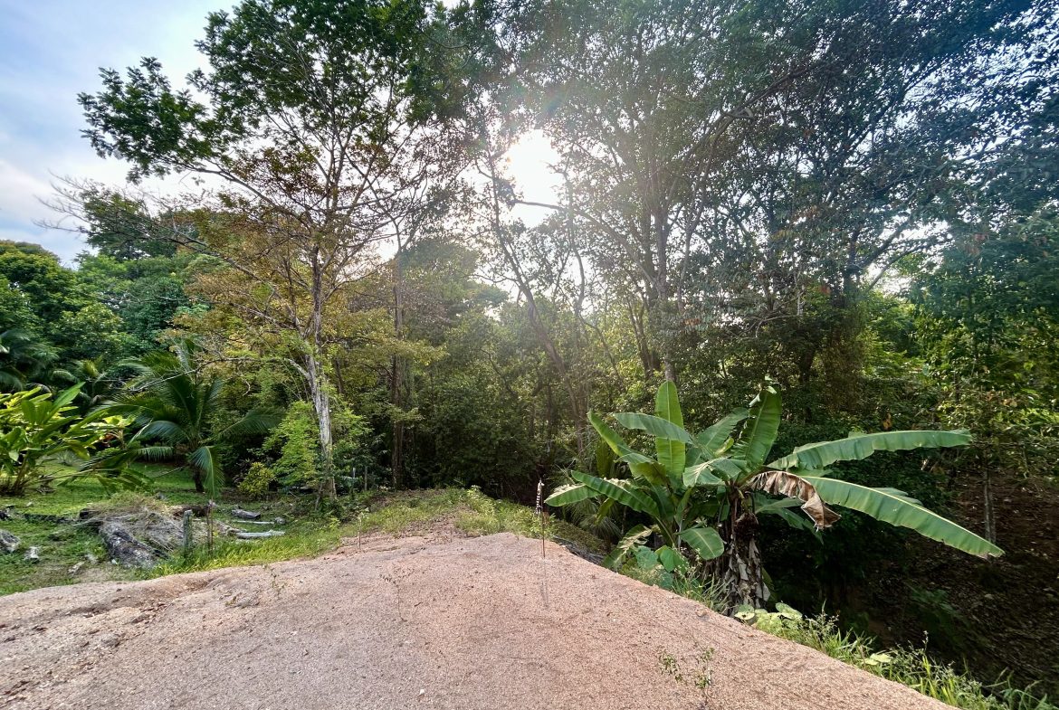 LUXURIOUS PRE-CONSTRUCTION 3-BEDROOM HOME IN DESIRED PLAYA HERMOSA – 0.57 ACRES
